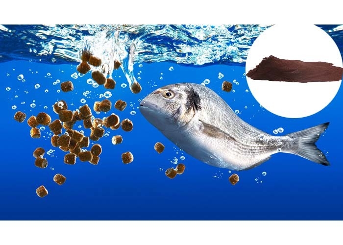 GMP+ Aquafeed Pellet Binder Healthy Chicken Blood Powder 23099090